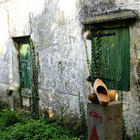 Consello Territorial San Xiao